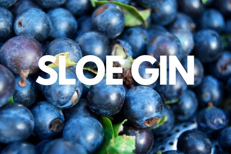 Sloe Gin