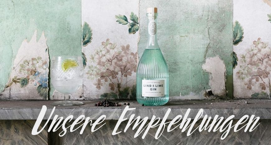 Unsere Gin Empfehlungen auf Drinkevolution.de