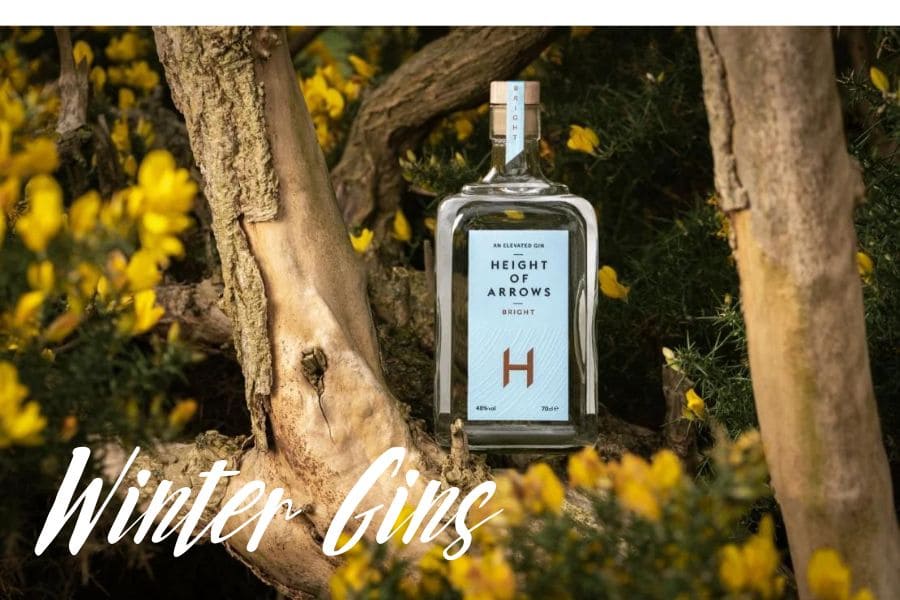 Hebst und Winter Gins entdecken | Drinkevolution.de